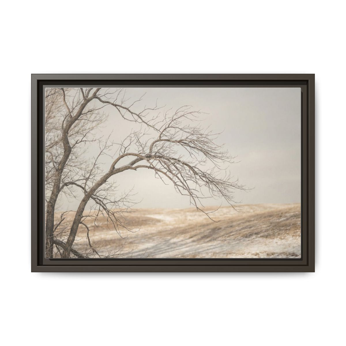 Framed Canvas Art - Minimalist Winter — Espresso / 1.25"