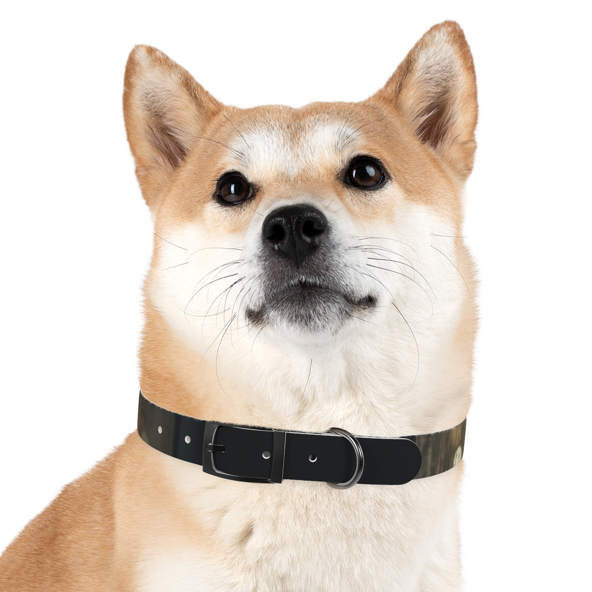 Dog Collar - Midnight Glow Style