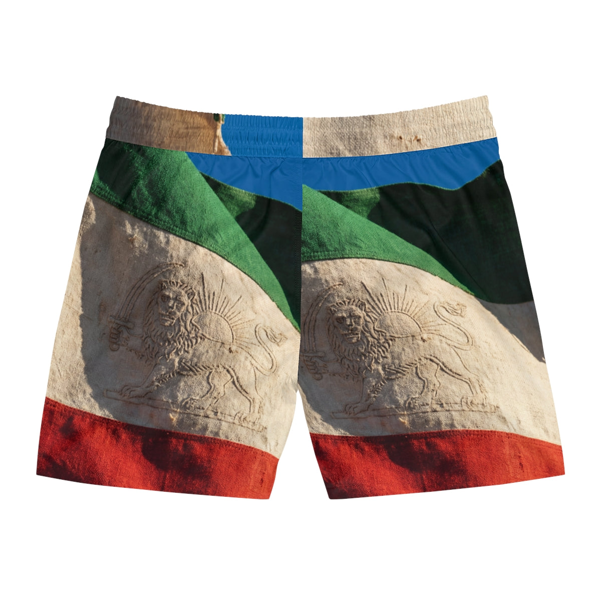 Men's Swim Shorts - Pride