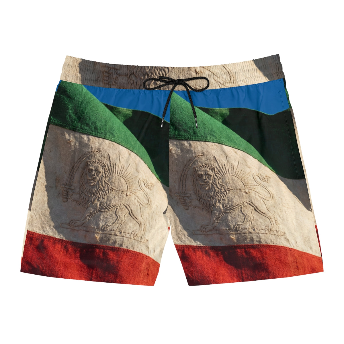 Men's Swim Shorts - Pride