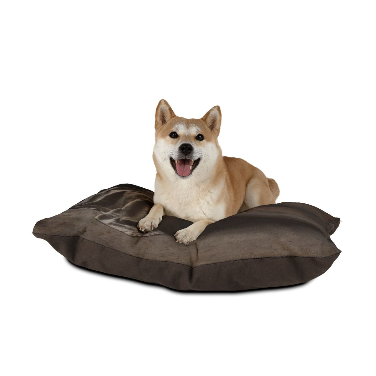 Pet Bed - Brutalist Slumber
