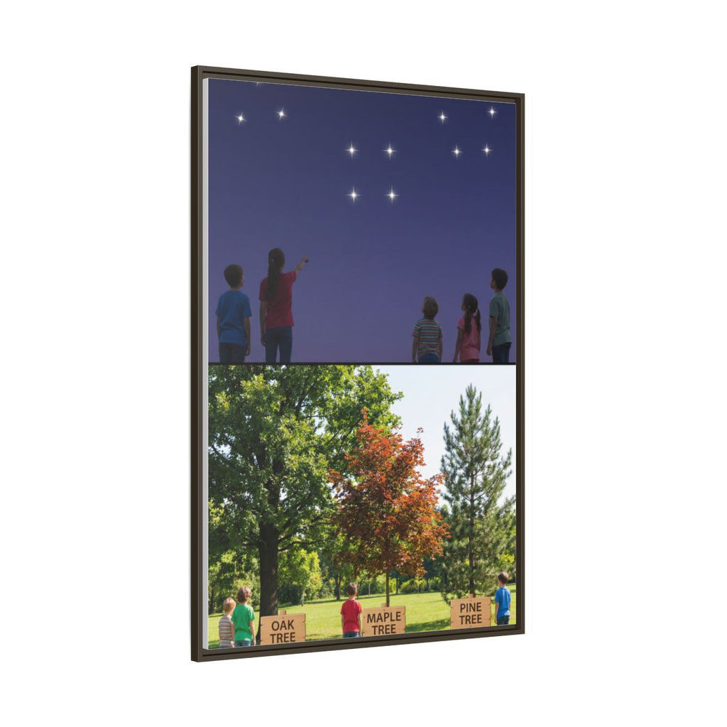 Framed Matte Canvas - Discovery — Espresso / 1.25"