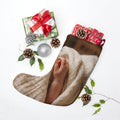 Christmas Stocking - Baby's First Holiday