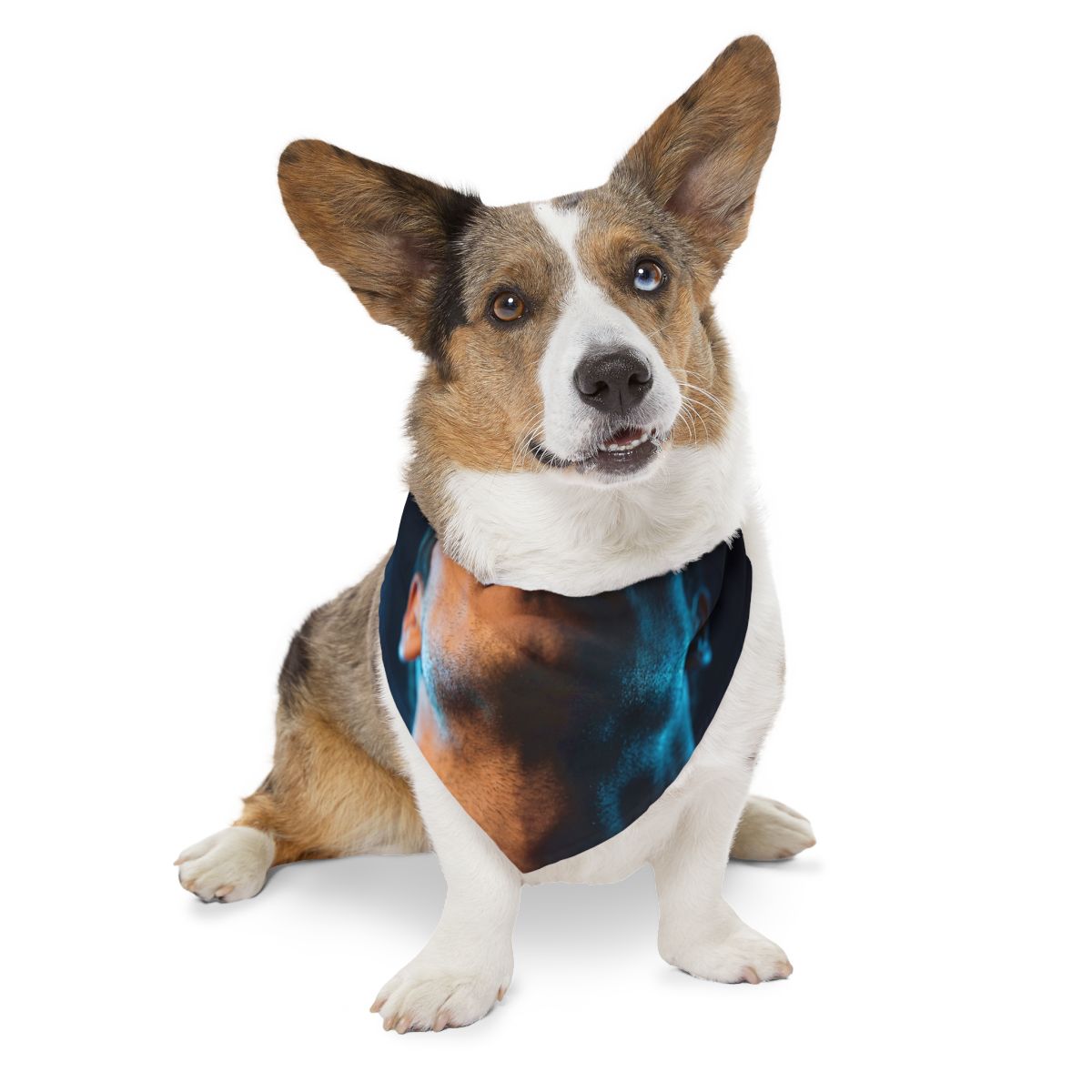 Pet Bandana Collar - Neon Horizon Portrait | Echovira...
