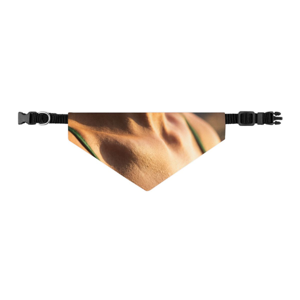 Pet Bandana Collar - Golden Hour Walk