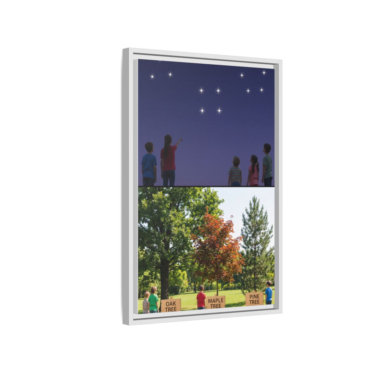 Framed Matte Canvas - Discovery — White / 1.25"
