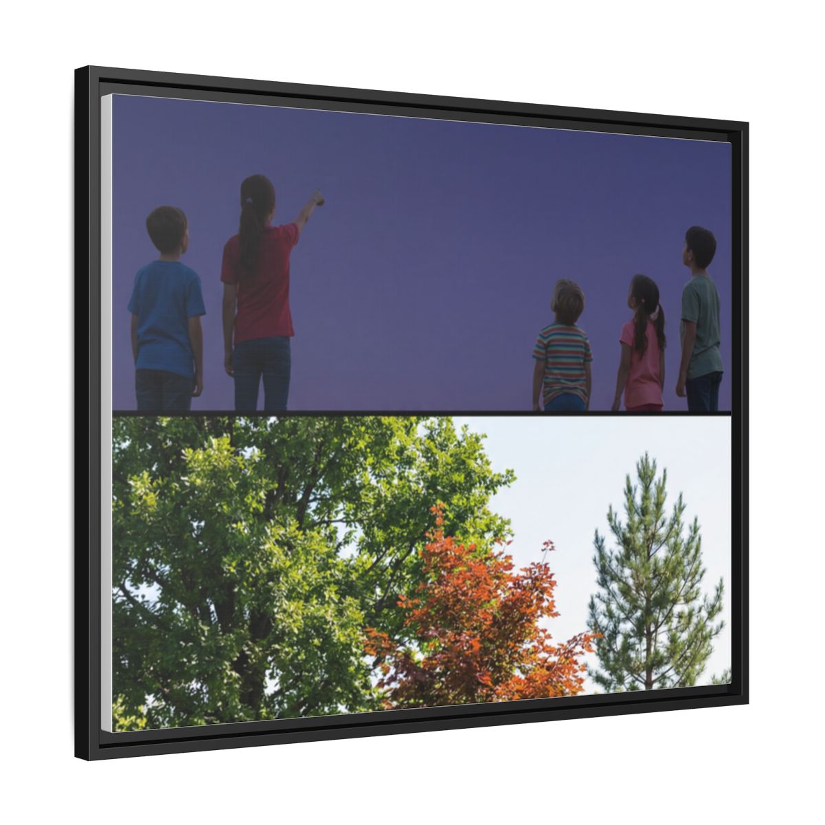 Framed Matte Canvas - Wilderness Gallery
