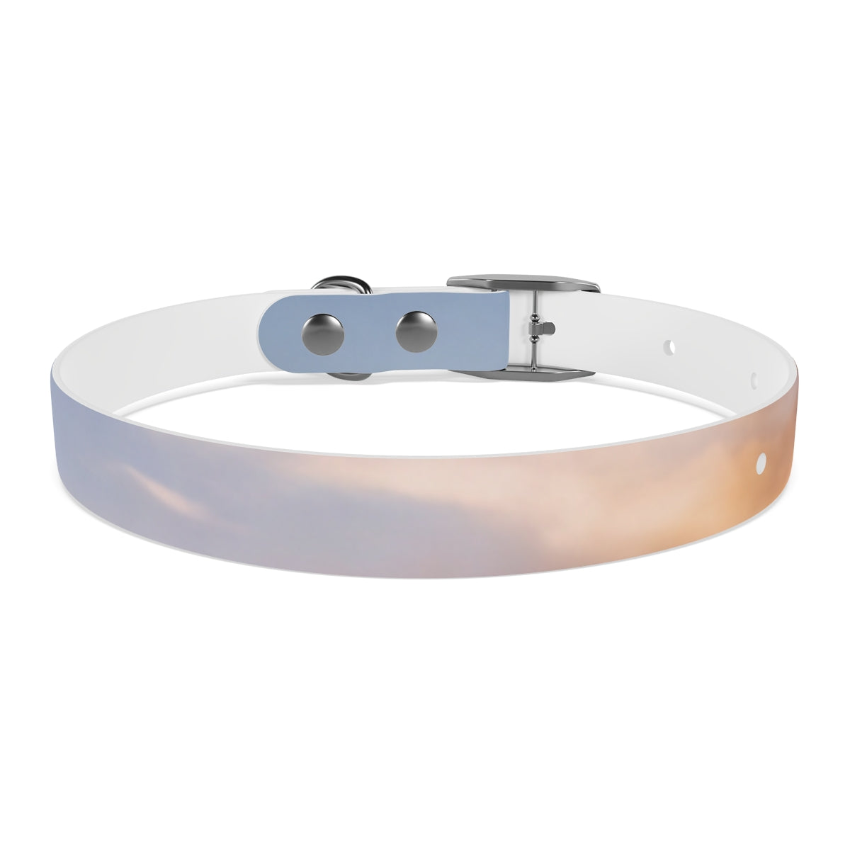 Dog Collar - Trail Companion