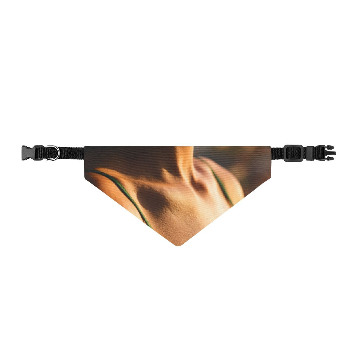 Pet Bandana - Golden Hour Style