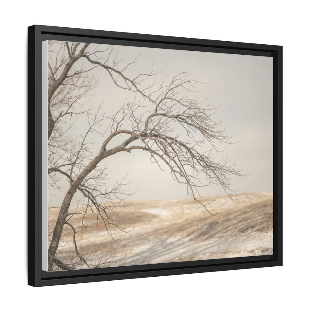 Framed Canvas Art - Minimalist Winter — Black / 1.25"