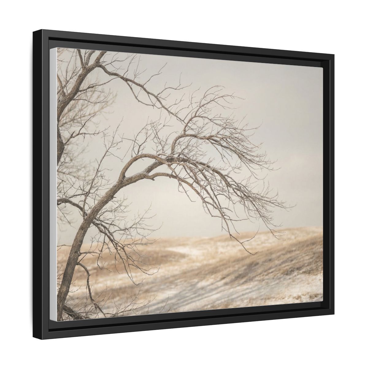 Framed Canvas Art - Minimalist Winter — Black / 1.25"