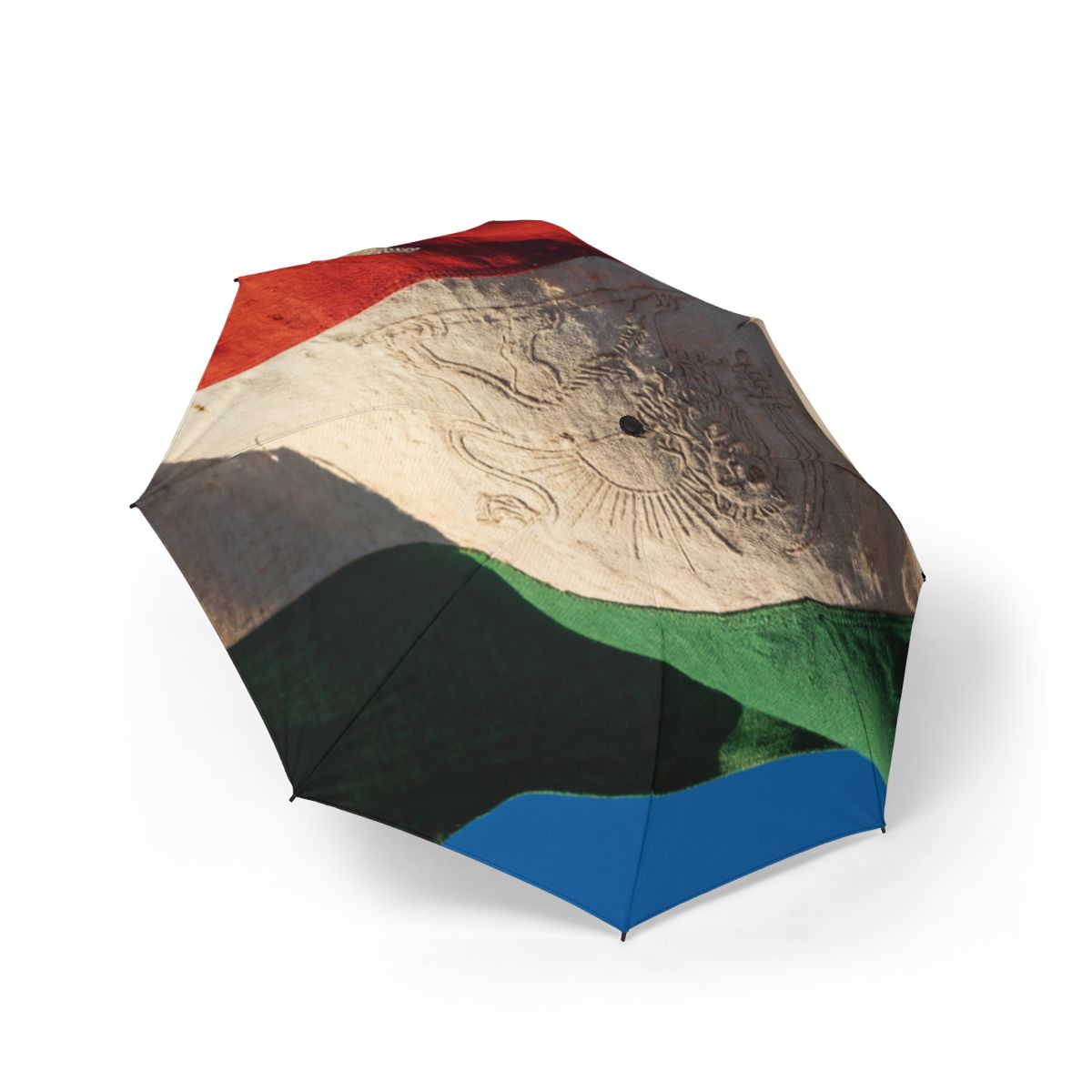 Foldable Umbrella - Lion & Sun Canopy