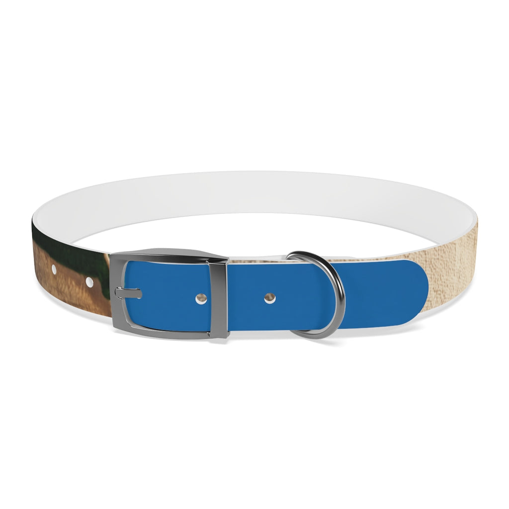 Dog Collar - Heritage Pride