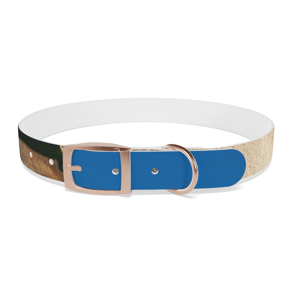 Dog Collar - Heritage Pride