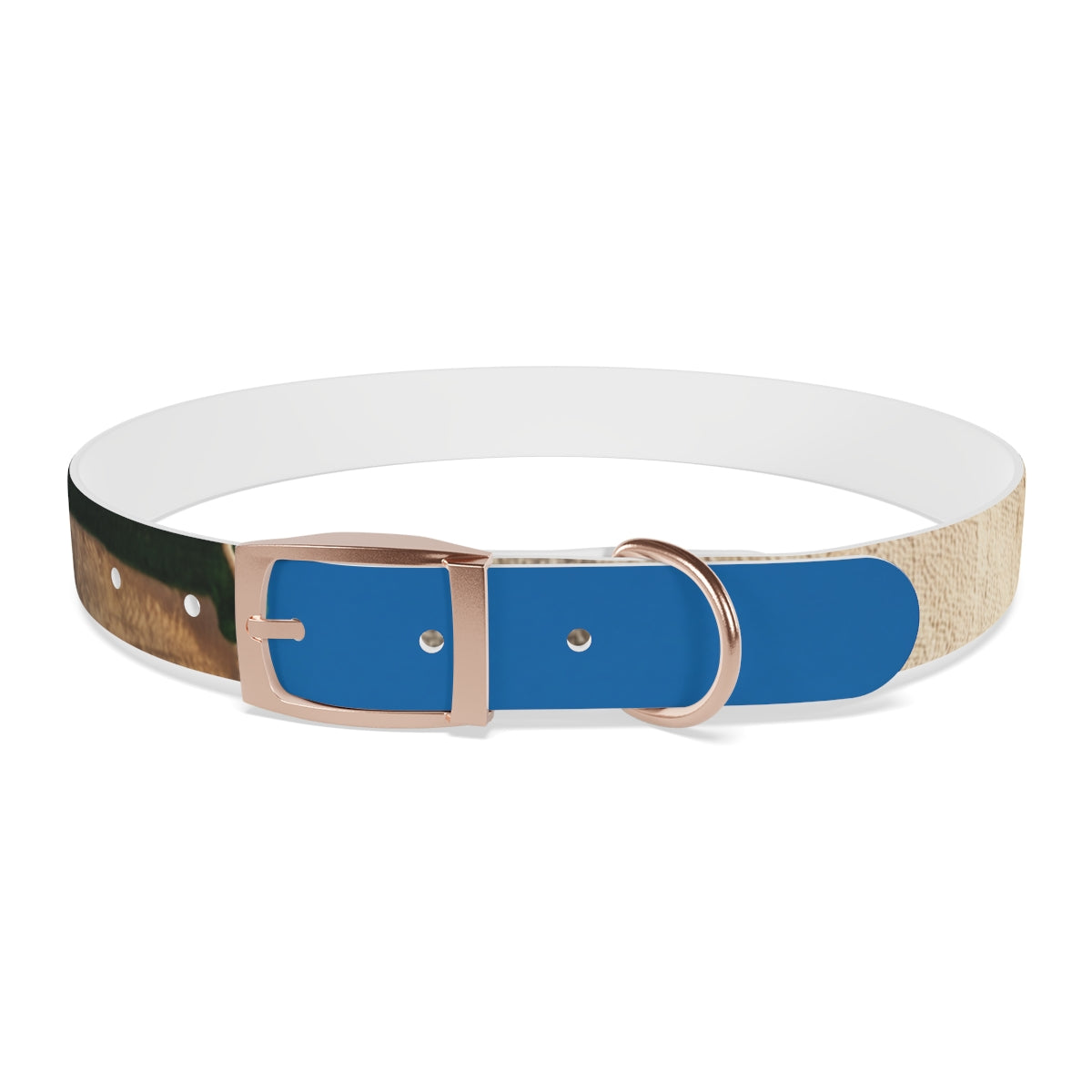 Dog Collar - Heritage Pride