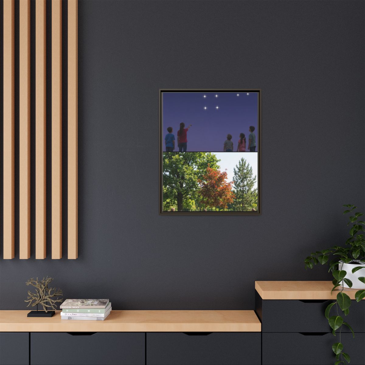 Framed Matte Canvas - Discovery — Espresso / 1.25"