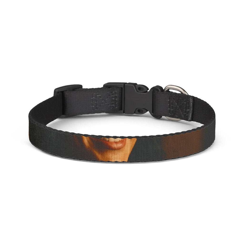 Pet Collar - Midnight Radiance