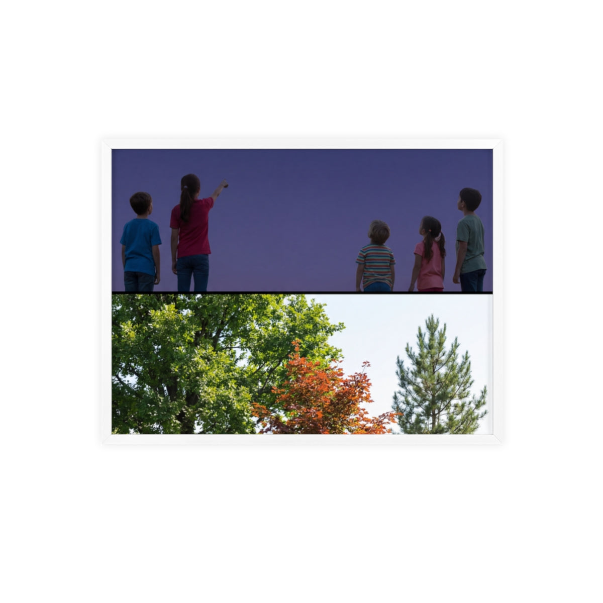 Posters with Wooden Frame - Woodland Explorer