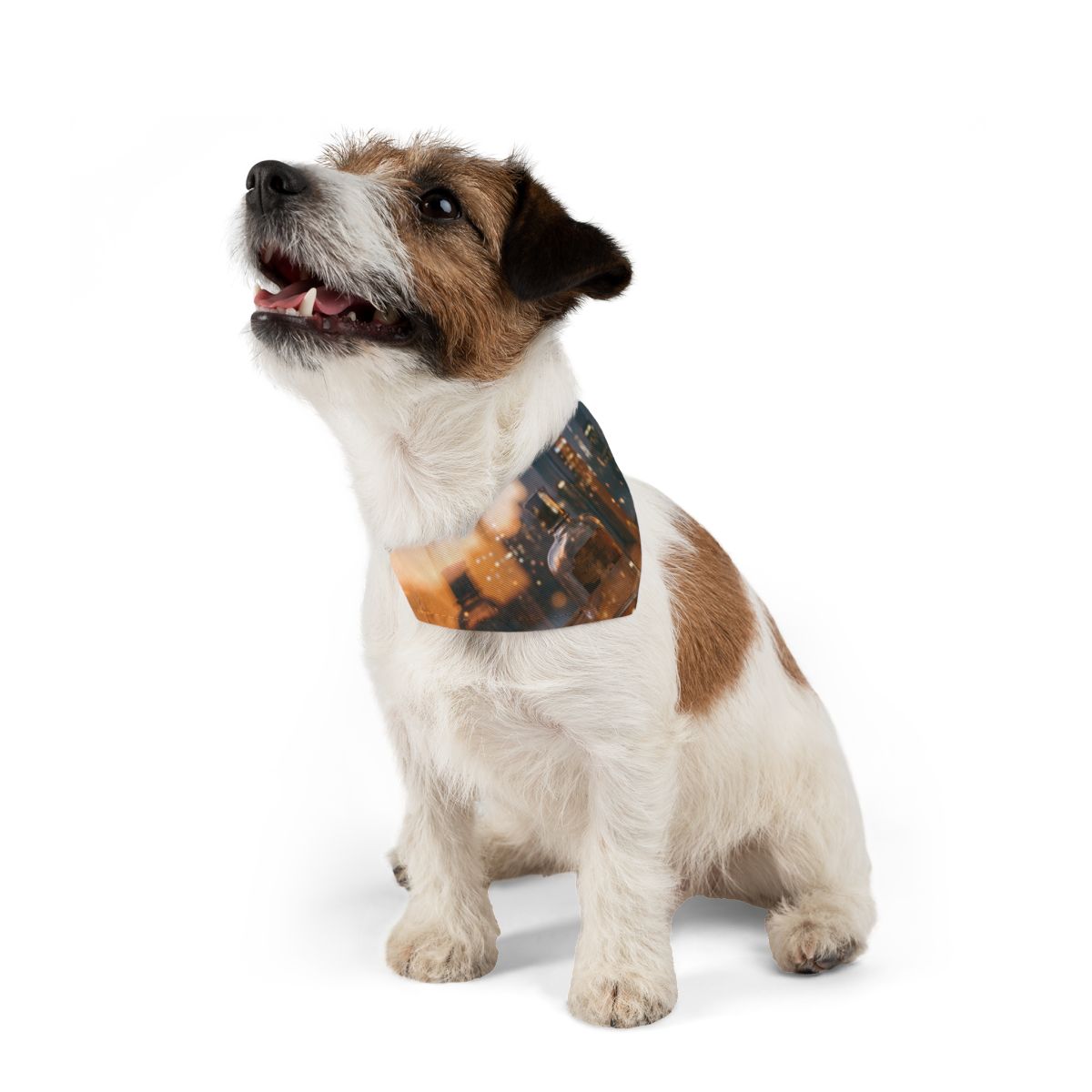 Pet Bandana Collar - Amber City Vibe | Echovira Gallery
