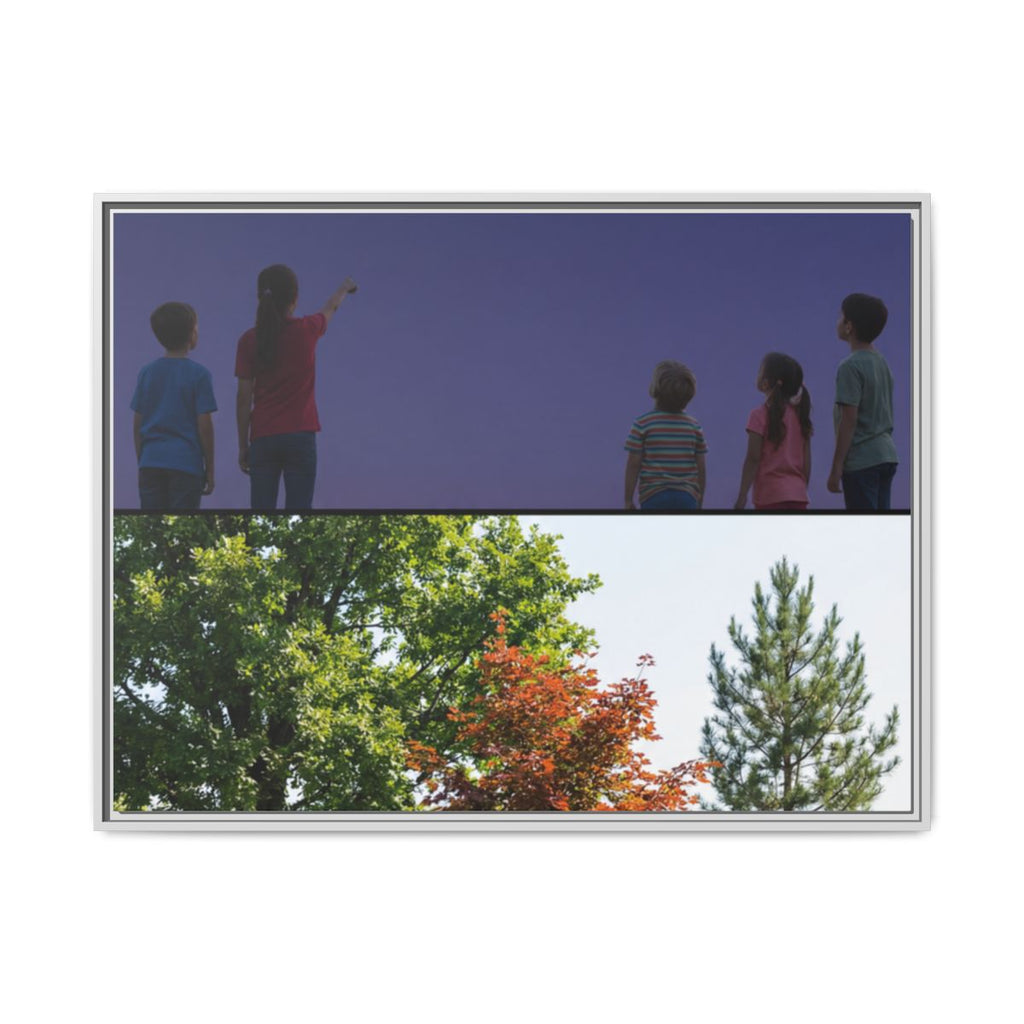 Framed Matte Canvas - Discovery — White / 1.25"