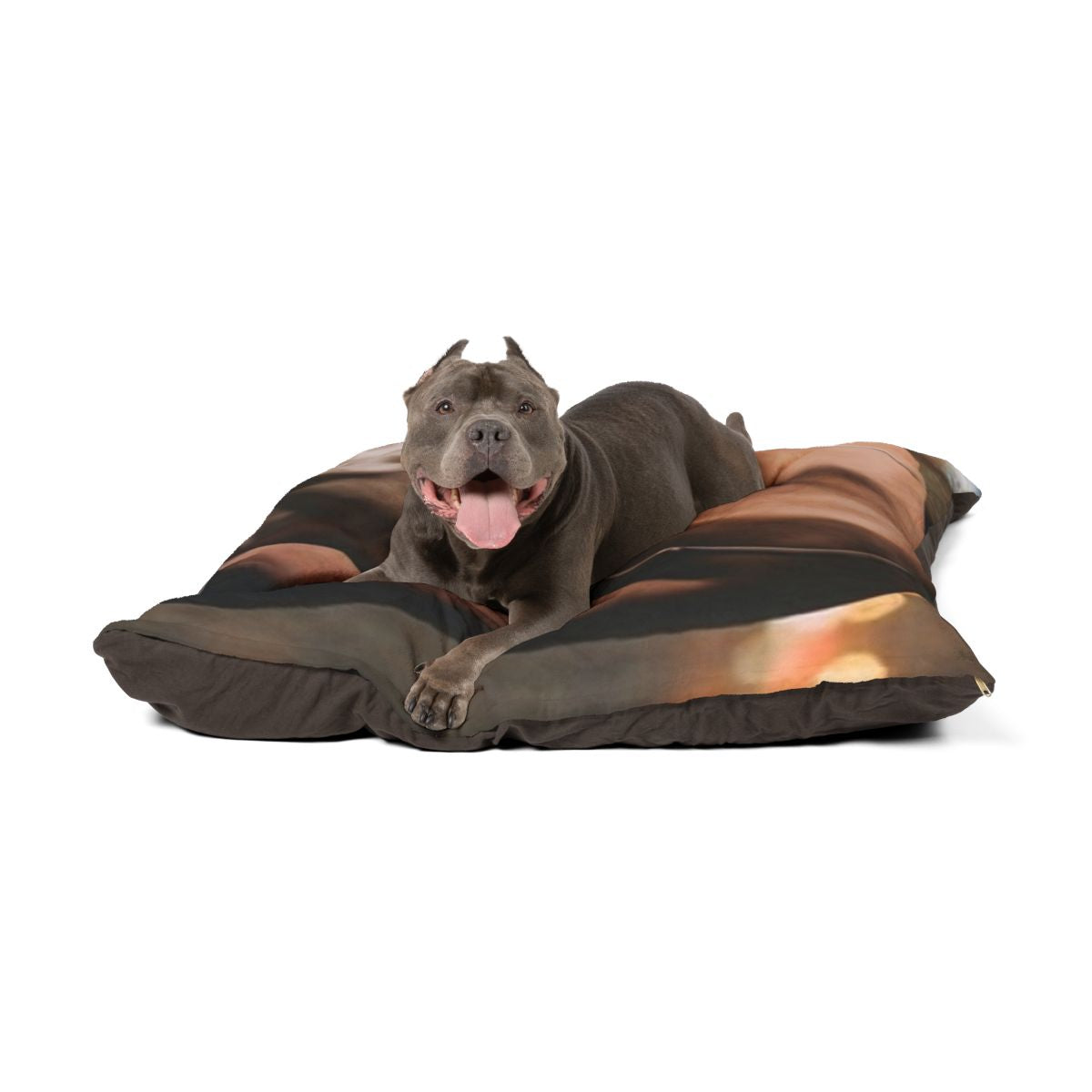 Pet Bed - Shimmering Rainy City Lights | Echovira Gallery