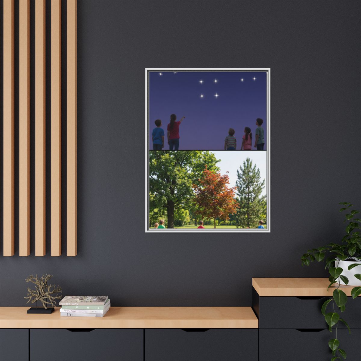 Framed Matte Canvas - Discovery — White / 1.25"