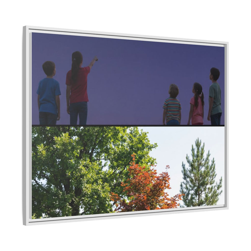 Framed Matte Canvas - Discovery — White / 1.25"