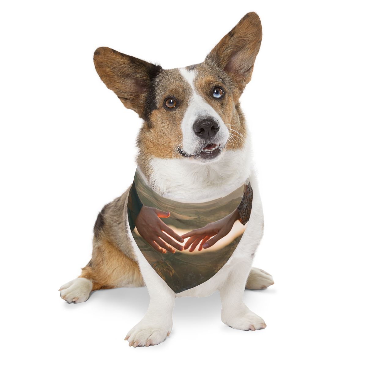 Pet Bandana Collar - The Infinite Touch | Ethereal Coastal...