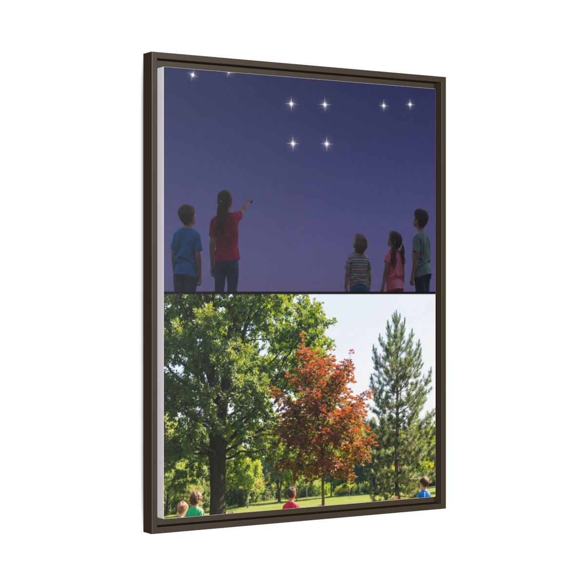 Framed Matte Canvas - Discovery — Espresso / 1.25"