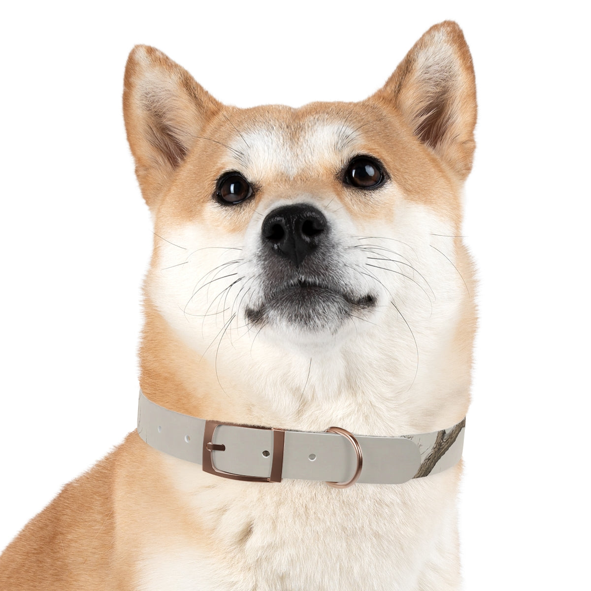 Dog Collar - Hushed Winter Landscape