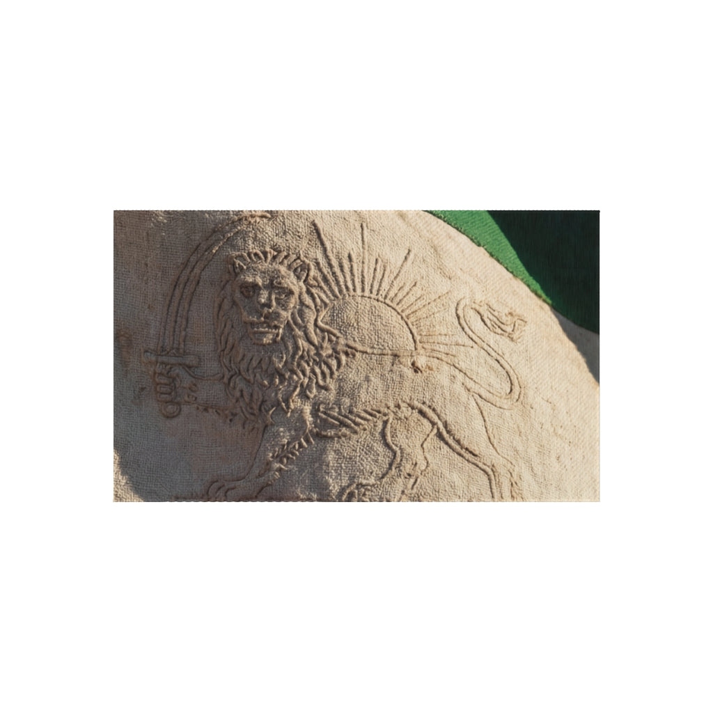 Outdoor Rug - Persian Lion and Sun | Echovira Gallery