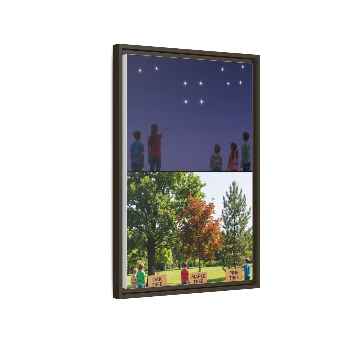 Framed Matte Canvas - Discovery — Espresso / 1.25"