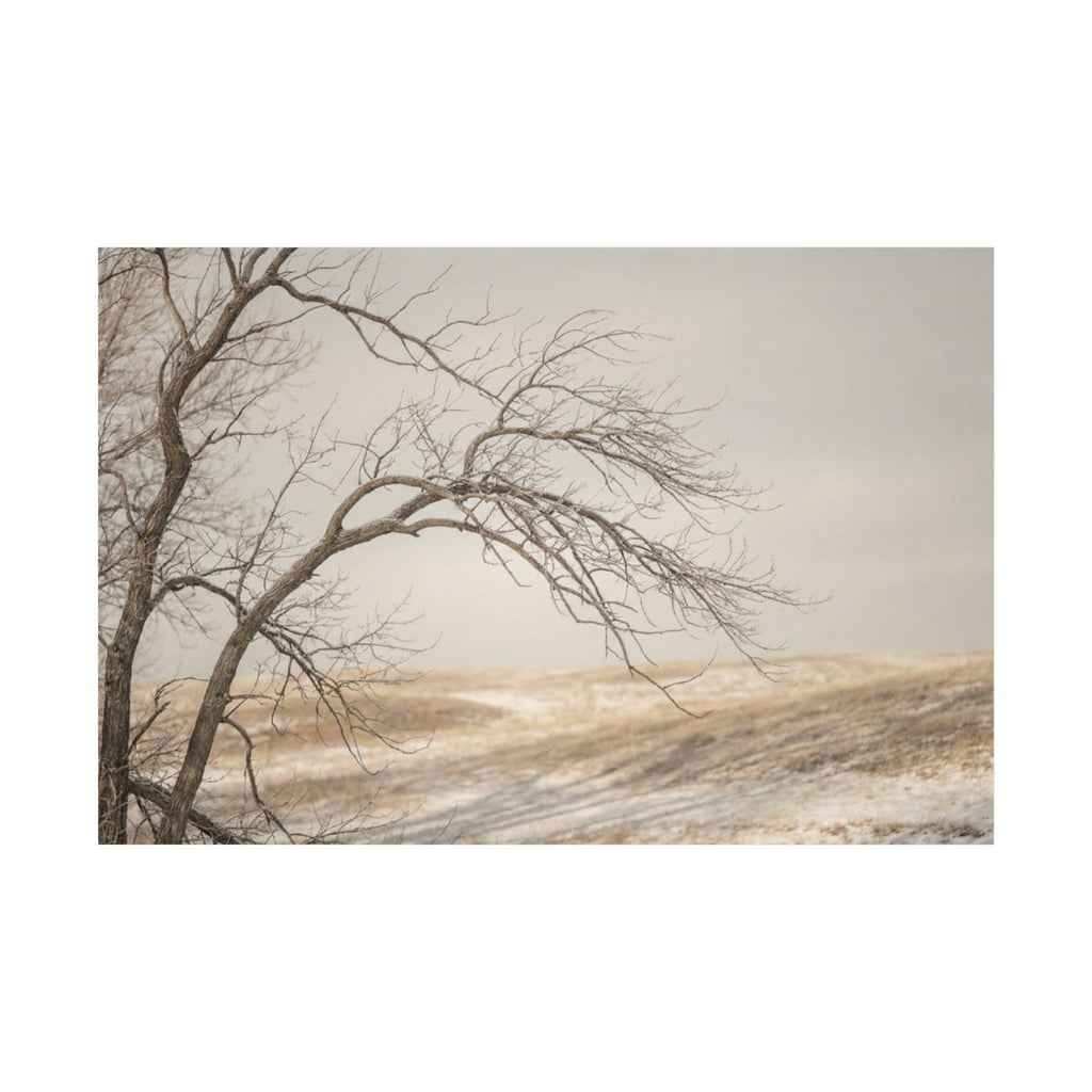 Matte Horizontal Posters - Winter Branch Solitude Landscape...