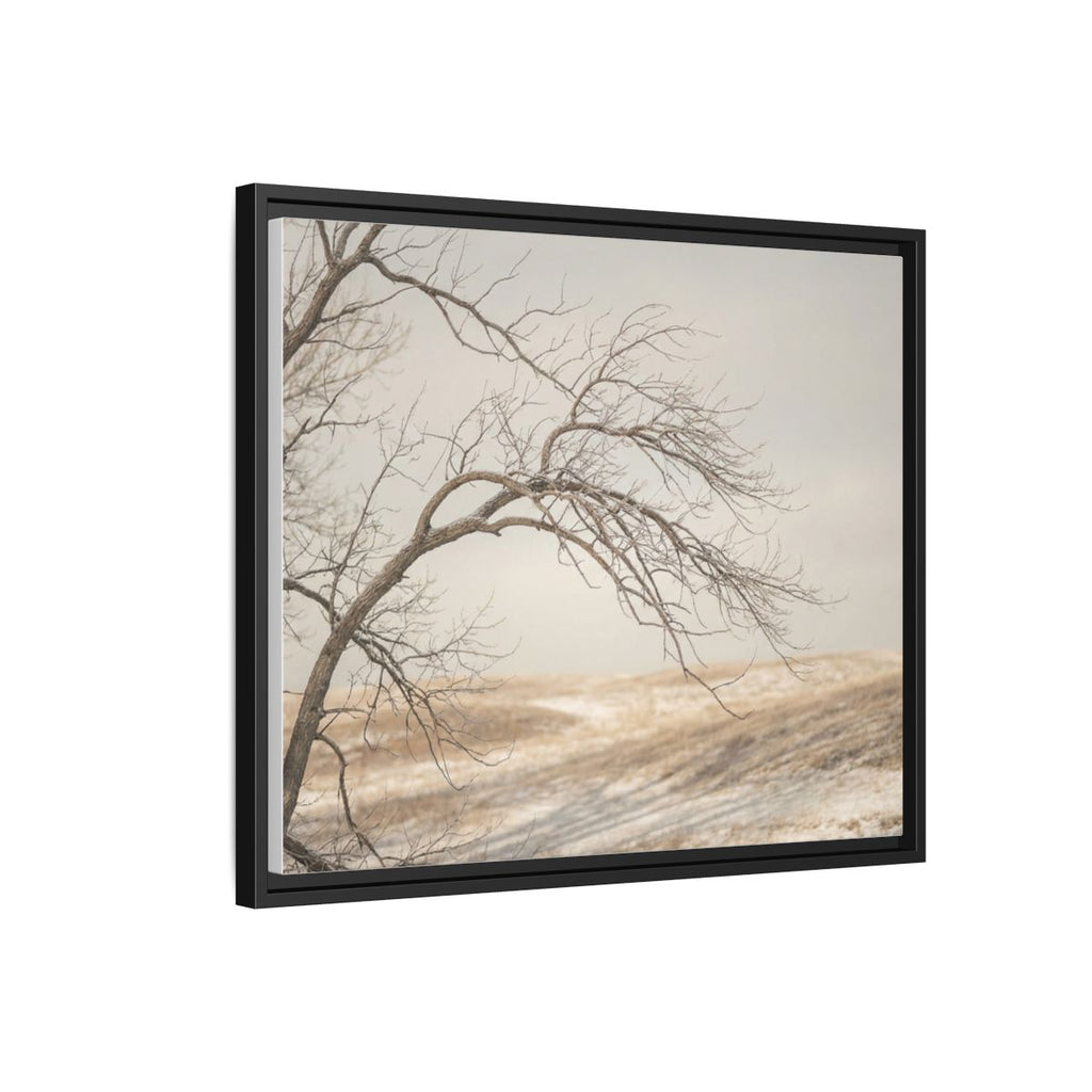 Framed Canvas Art - Minimalist Winter — Black / 1.25"