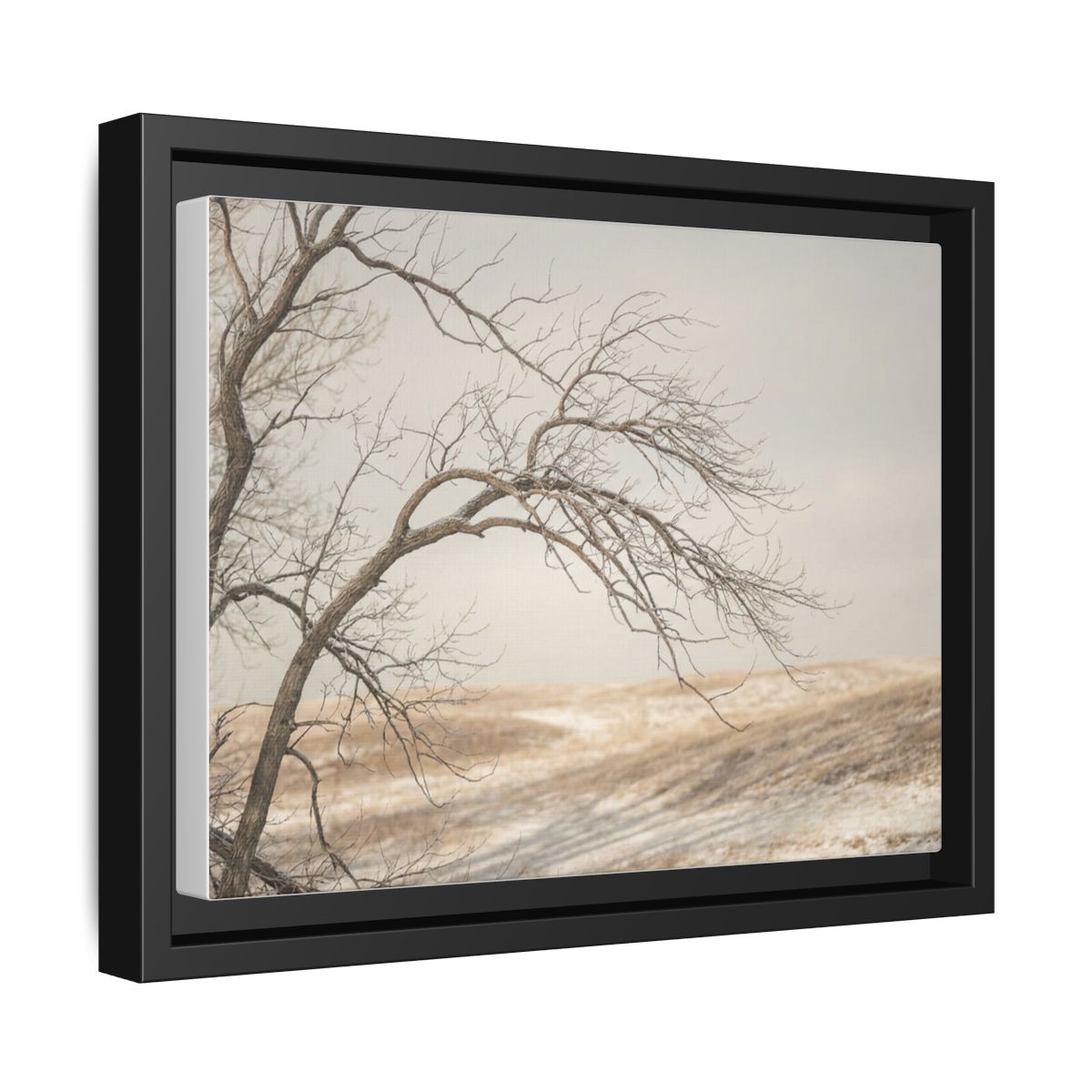 Framed Canvas Art - Minimalist Winter — Black / 1.25"