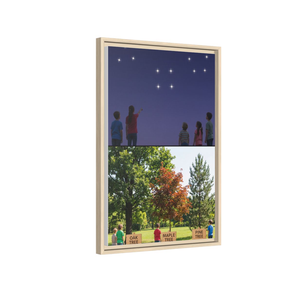 Framed Matte Canvas - Discovery — Natural / 1.25"