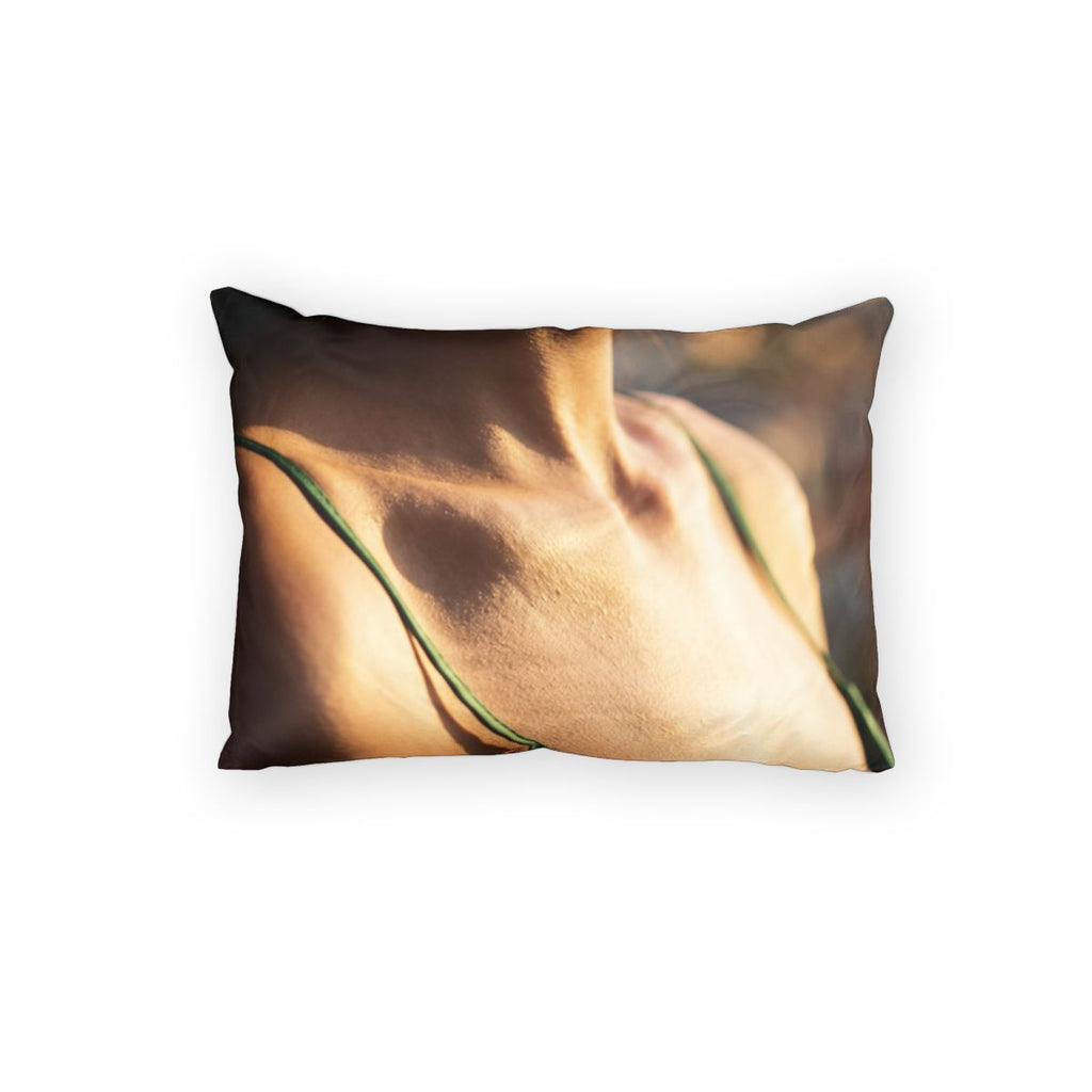 Cotton Pillow Sham - Sun-Kissed Silk