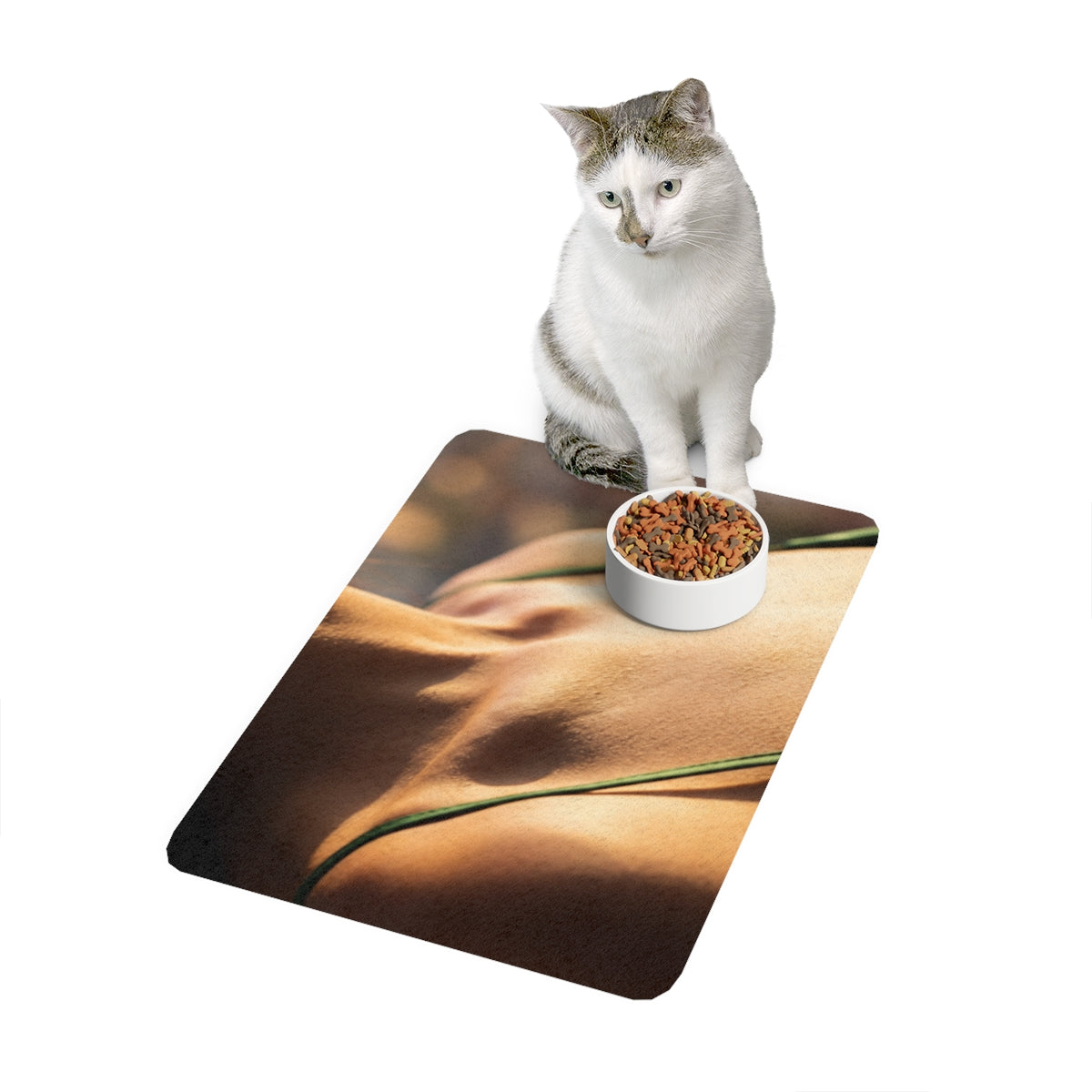 Haustierfuttermatte (30x45 cm) – Glanz der Goldenen Stunde