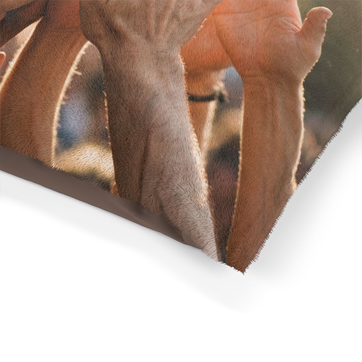 Pet Bed - Golden Rays of Unity Wall Art | Echovira Gallery