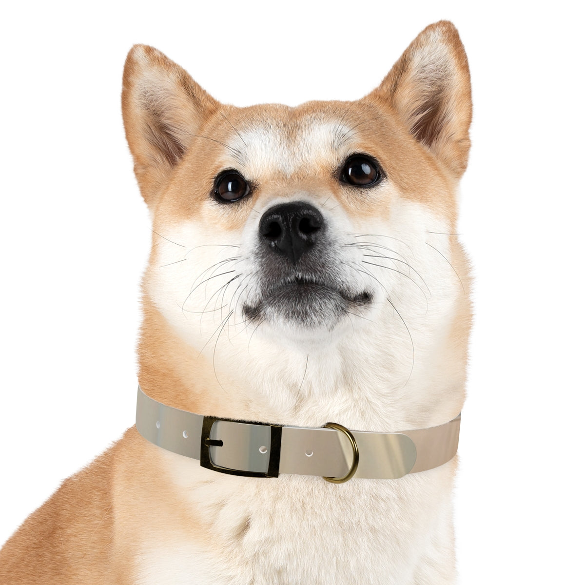 Pastel Dream Dog Collar - Gentle Pet Style