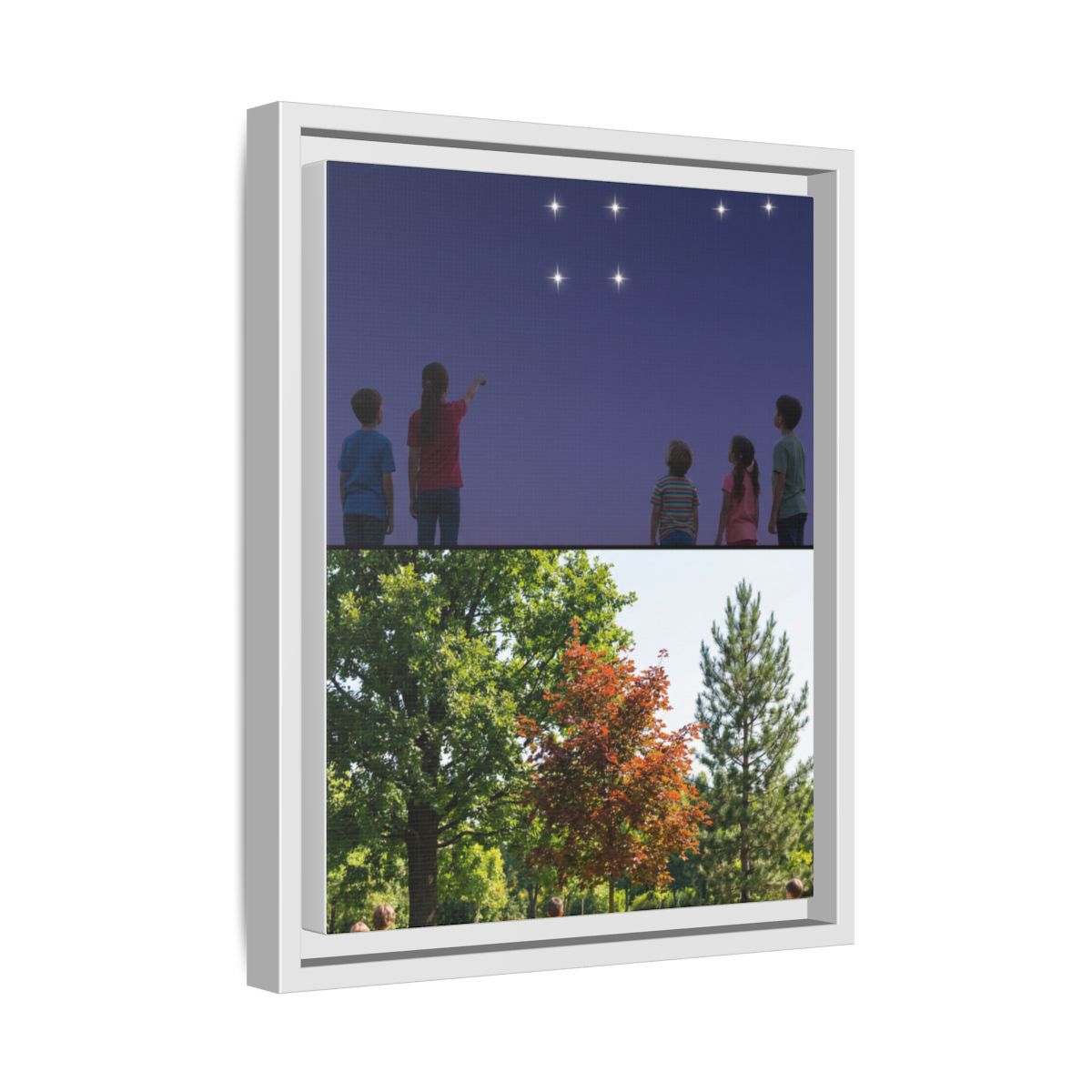 Framed Matte Canvas - Discovery — White / 1.25"
