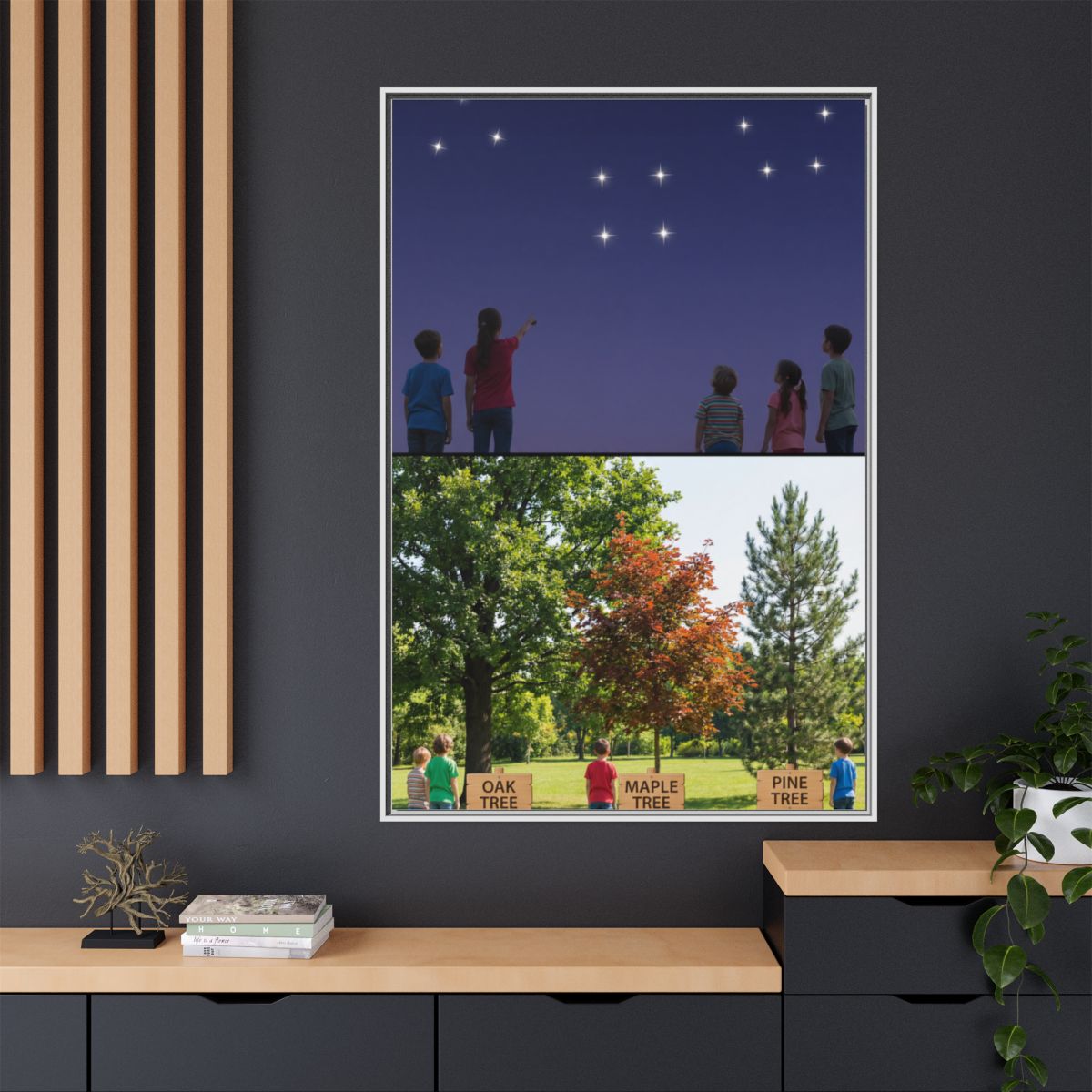 Framed Matte Canvas - Discovery — White / 1.25"