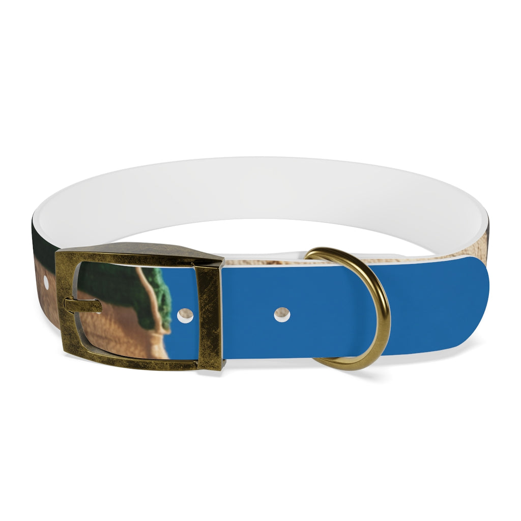 Dog Collar - Heritage Pride