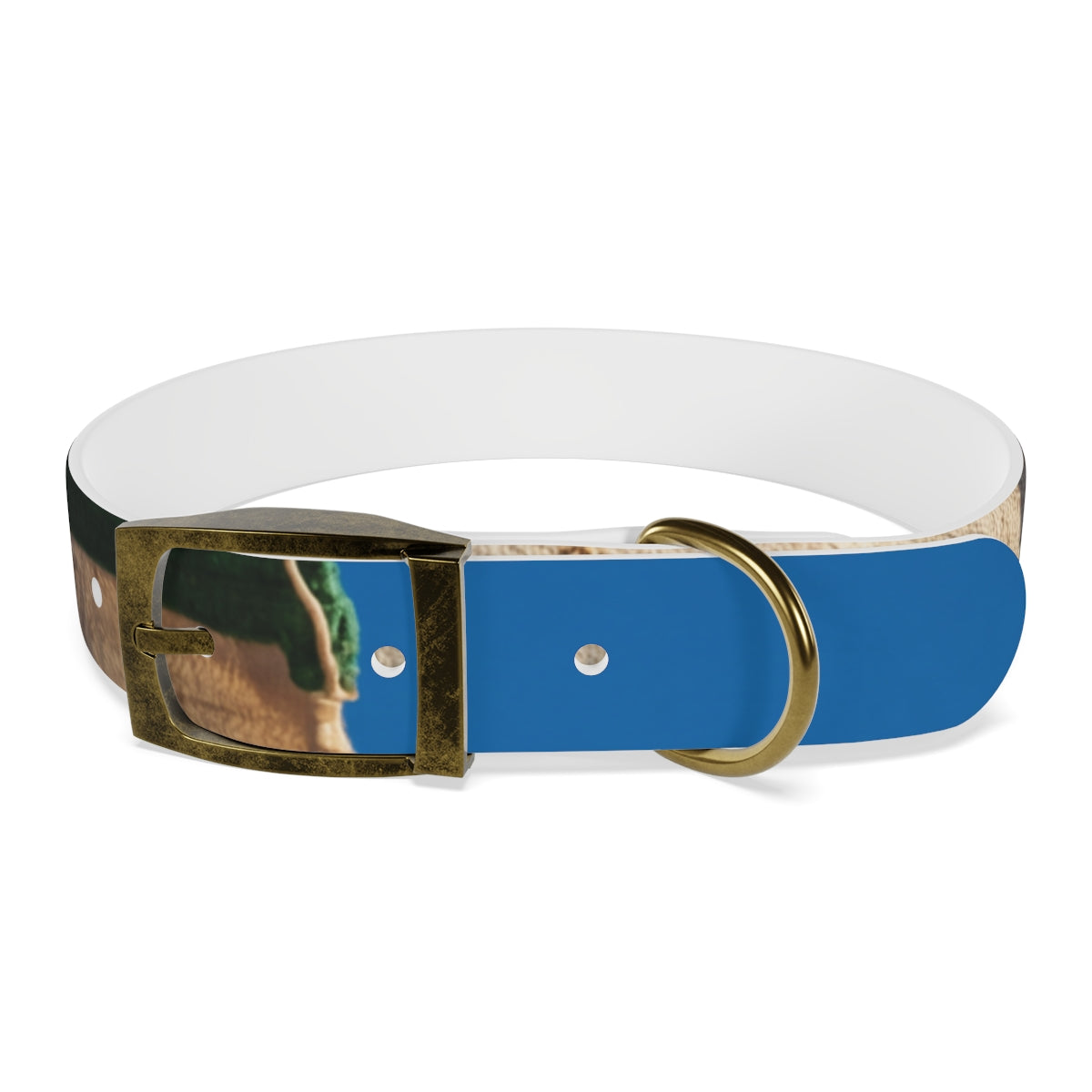 Dog Collar - Heritage Pride