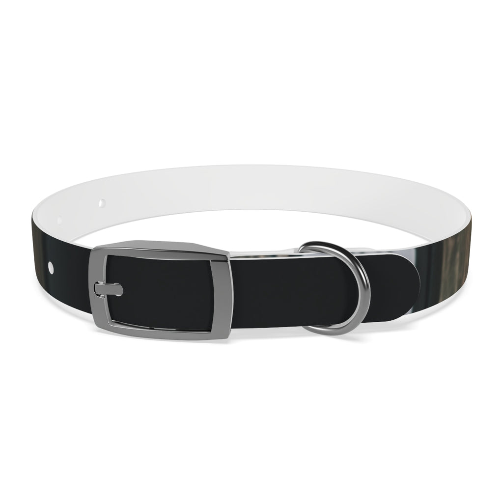 Dog Collar - Midnight Glow Style