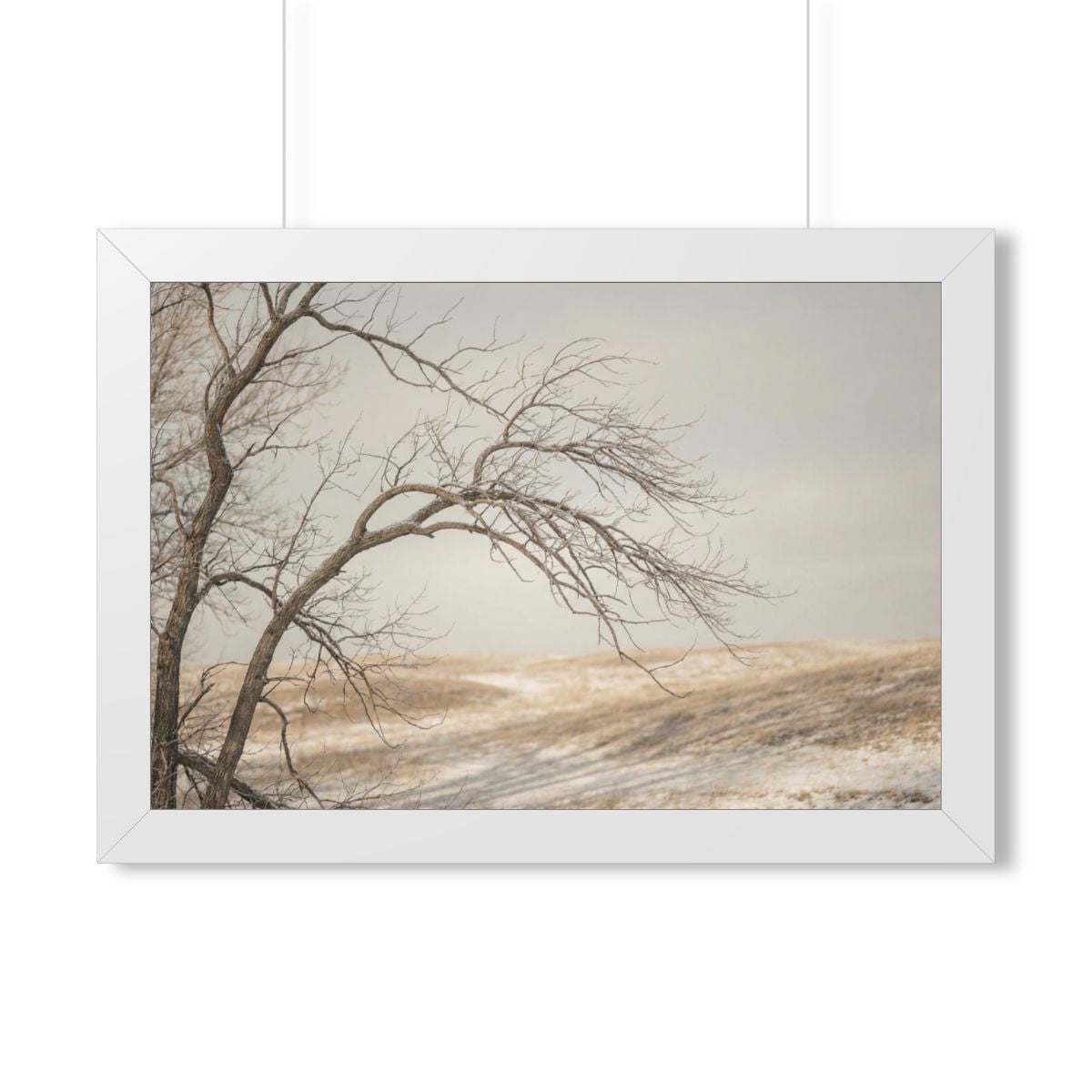 Framed Horizontal Poster - Winter Branch Solitude Landscape...
