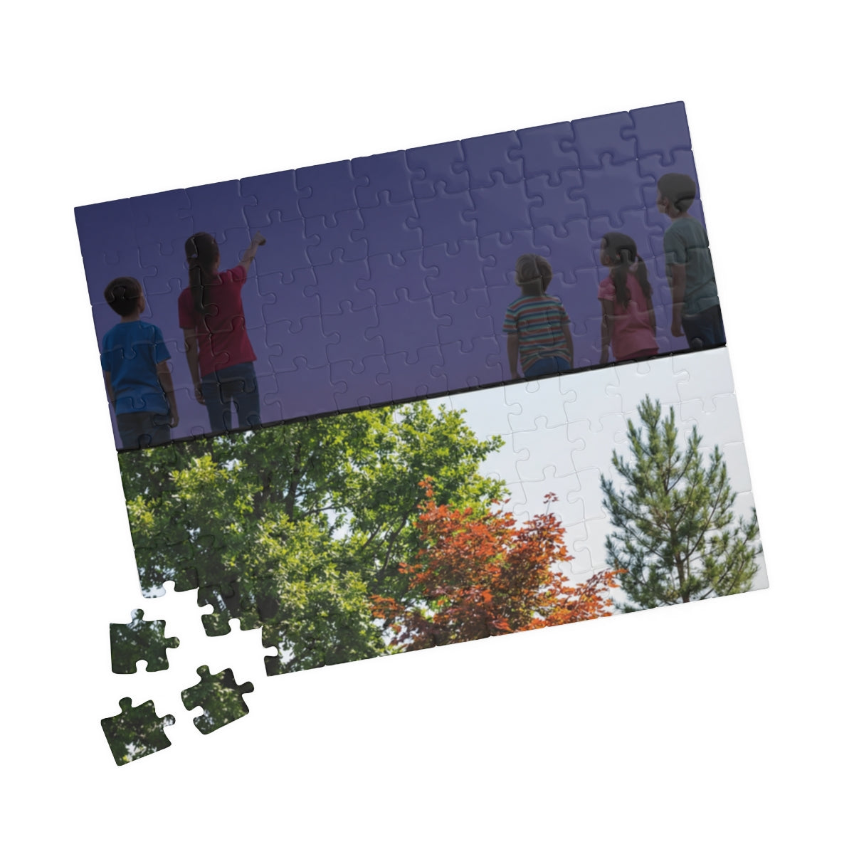Premium Puzzle - Nature Lesson