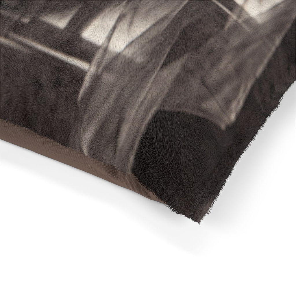 Pet Bed - Spectral Veils | Echovira Gallery