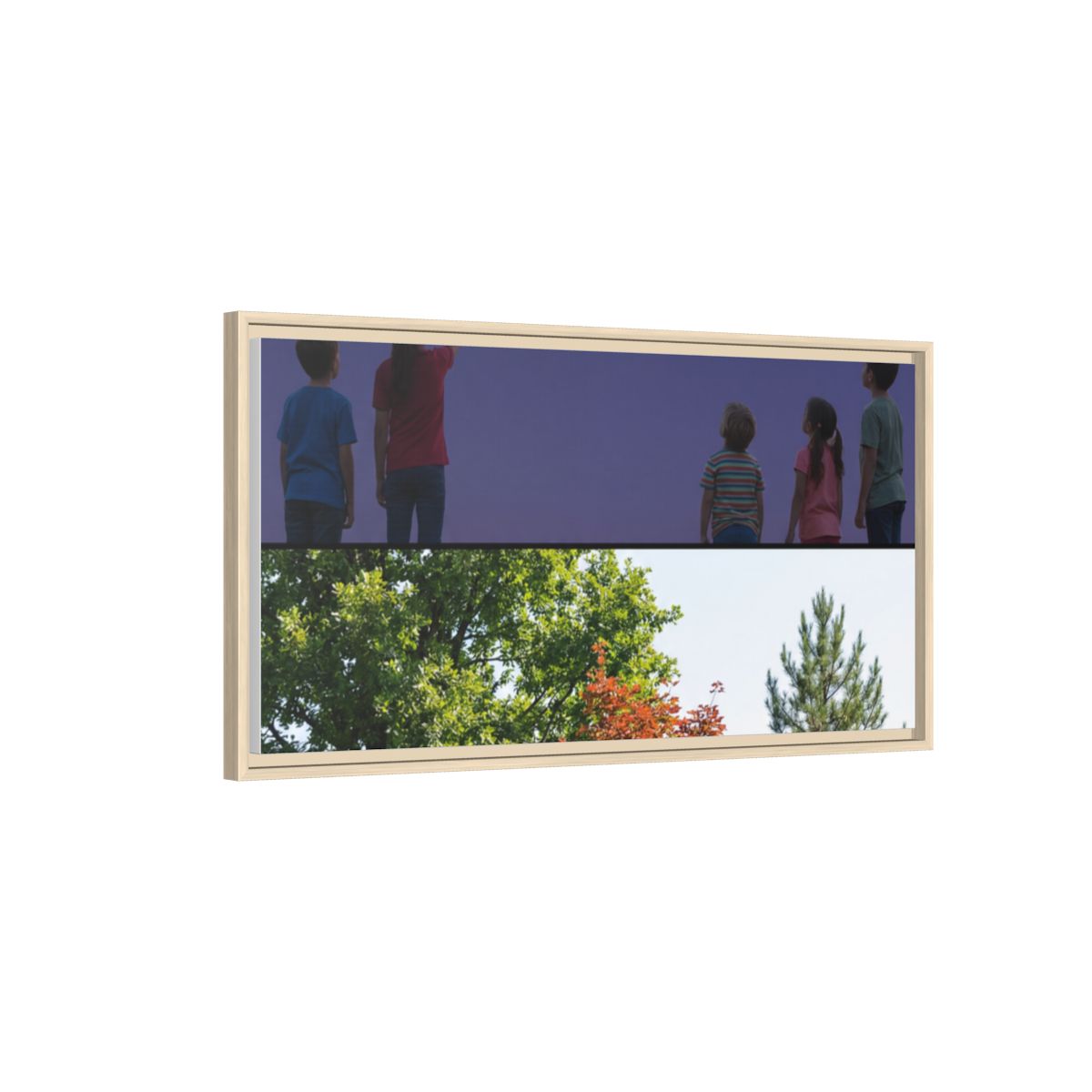 Framed Matte Canvas - Wilderness Gallery
