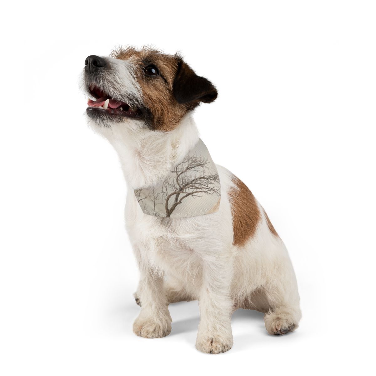 Pet Bandana Collar - Winter Branch Solitude Landscape |...